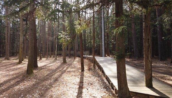 清水国明の森と湖の楽園